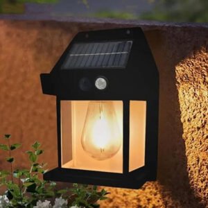 Solar Lights 1