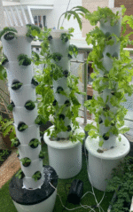 28  MiniPonics