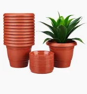 12”pot